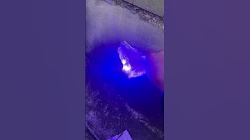Powerful Lasers.#foryou #gadgets #tech #lasers #laserpointer #laserpen #laser #flashlights