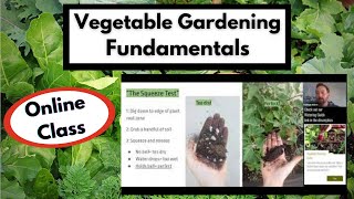 Vegetable gardening fundamentals: 4 practices for better yields in
your organic garden.