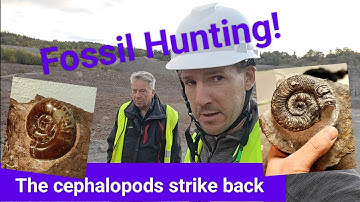 Fossil Hunting! The Cephalopods Strike Back! #trilobite #geology #fossilhunting #paleontology 