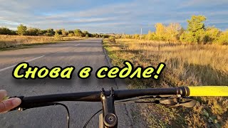 :   !