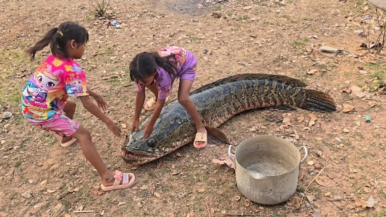 บ่าวดาวโชคดีแต่เช้าได้ปลาคอใหญ่ ธันวาน้อยรีบตื่นมาดู