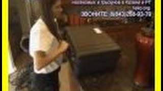 Дезинфекция квартиры от клопов