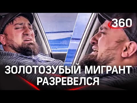 Video: Мигрант үчүн кайсы өлкөлөр эң жагымдуу