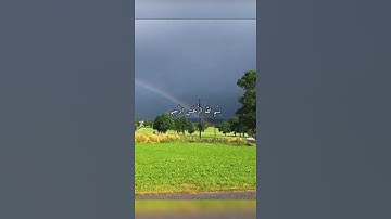 واتس أب قرآن كريم القارئ عبدالرحمن مسعد سورة (الكوثر)