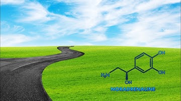 Why Are Roads Designed with Curves? The Science Behind Safer Driving