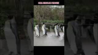 Lucunya ! 🤣 Cara berjalan Pinguin