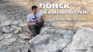 картинка: Что можно найти в слоях, которым 300 миллионов лет?| Необычные морские жители| Поиск морских лилий