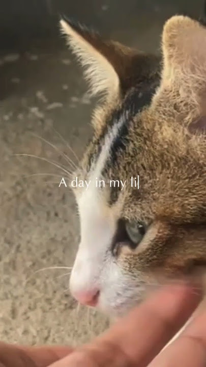https://youtu.be/XtNJUO9c2ws?si=UUb_gjsJrAZtun2d watch full video