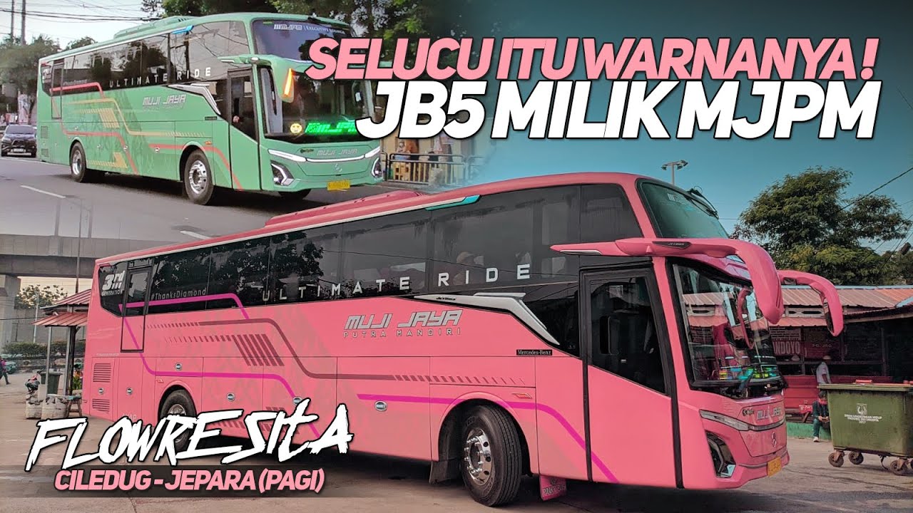 SELUCU ITU WARNANYA‼️MOMEN KETEMU 2 BUS TERBARU MJPM‼️MJPM FLOWRESITA ...