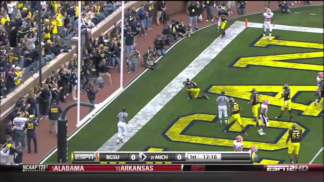 Denard Robinson 2010 Highlights - A Star is Born
