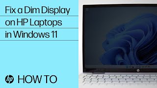 how to fix a dim display on hp laptops with windows 11 | hp computers | hp support