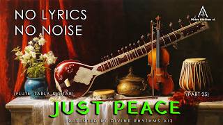 No  No Noise Just Peace  Indian Classical  Instrumental Fusion 25th  Top Relaxing  2026