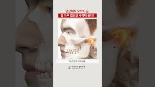 껌 자주 씹으면 사각턱 됩니다💥 해외에서 유행한다는 테토남 챌린지🔥