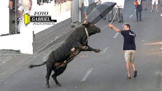 Tourada à corda in Raminho, 31 August 2023