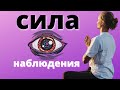 Сила наблюдения #shorts