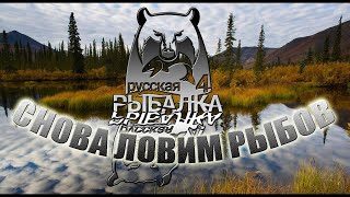 \\Стрим Русская рыбалка 4 - путь новичка- прокачка донки часть 10!!!
