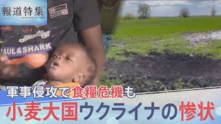 “小麦大国”ウクライナへの軍事侵攻がもたらす　深刻な世界食糧危機【報道特集】｜TBS NEWS DIG