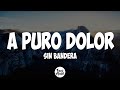 Apuro dolor  sin bandera letra