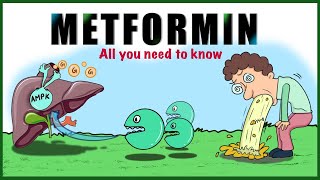 Metformin: Uses, Mechanism of action, Side  effects, Contraindications