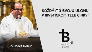 Každý má svoju úlohu v mystickom Tele cirkvi. │ o. Jozef Halčin