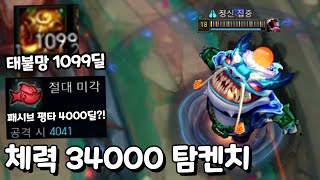 체력34000 탐켄치 평타딜 4000 태불망딜 1000?? [아레나 역병술사]