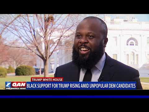 Black support for President Trump rising amid unpopular Democrat candidates