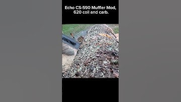 Echo CS 590 with muffler mod in fresh cut Red Oak