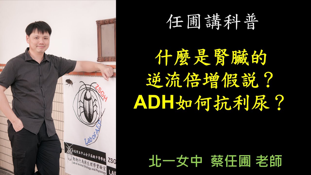 【任圃講科普】168什麼是腎臟的逆流倍增假説？ADH如何抗利尿？