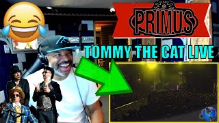 Primus   Tommy The Cat   Bonnaroo 2011 - Producer Reaction