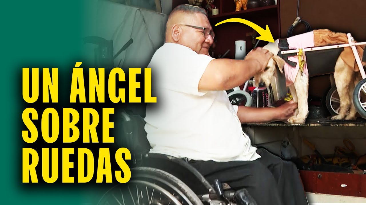 Hombre hace silla de ruedas para perros en Perú