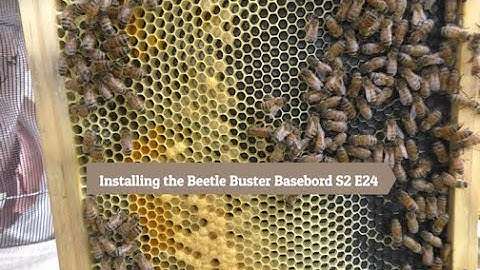 Installing the Beetle Buster Basebord S2 E24