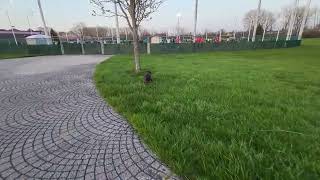 Caught On Camera Oops