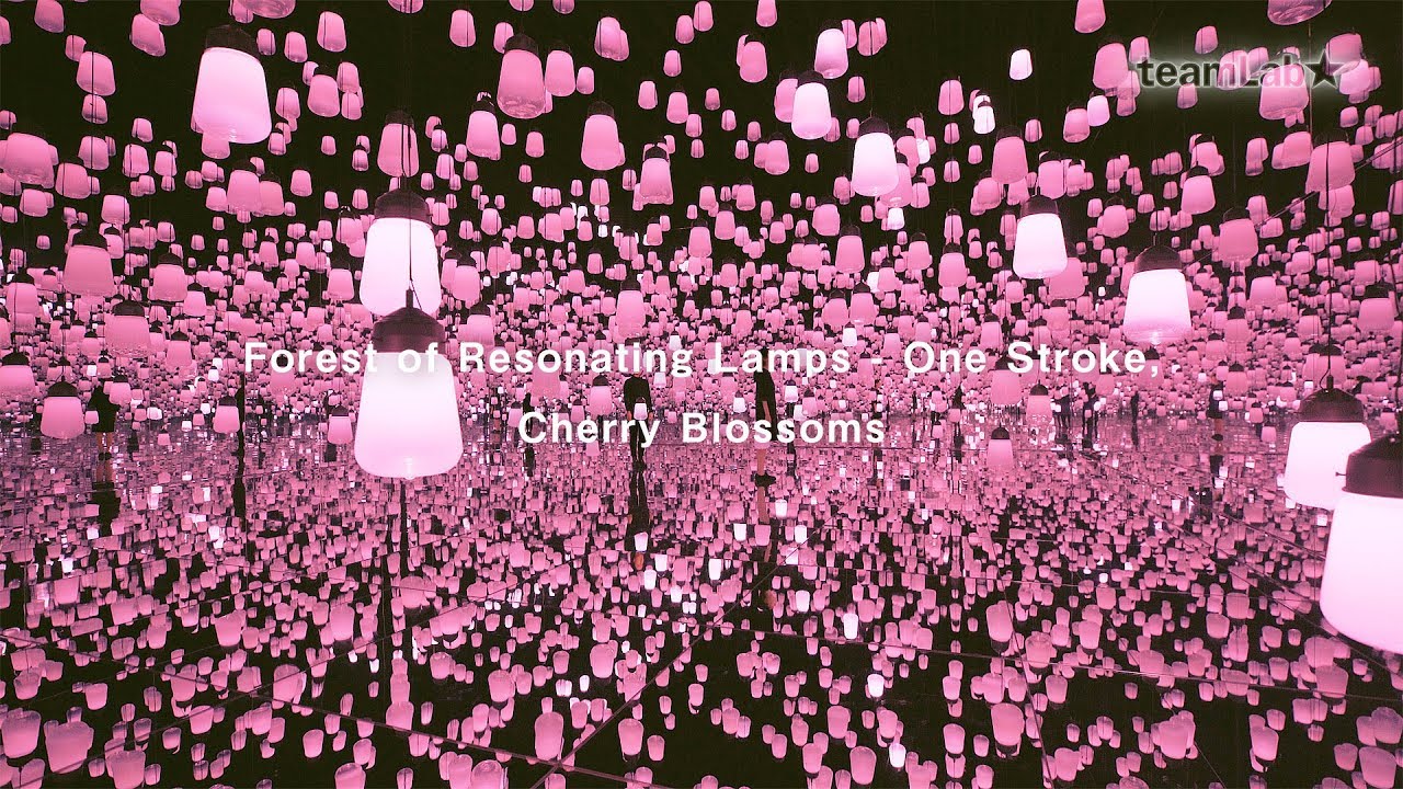 Forest of Resonating Lamps - One Stroke, Cherry Blossoms / 呼応