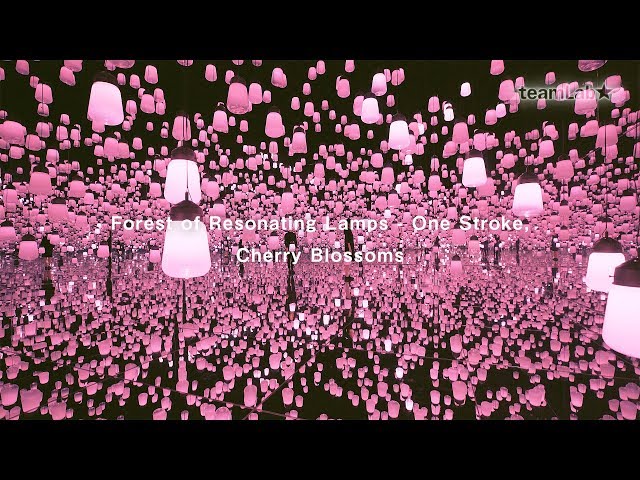 Forest of Resonating Lamps - One Stroke, Cherry Blossoms / 呼応