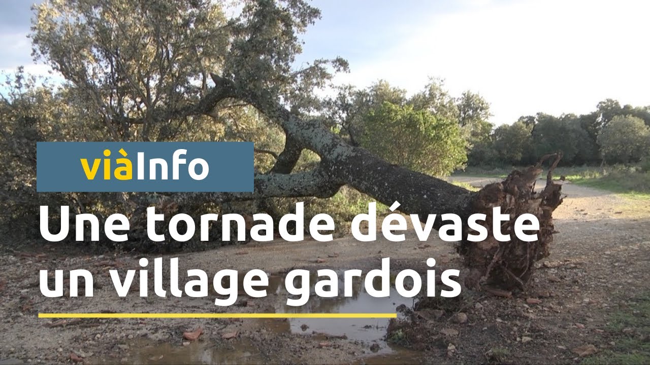Une tornade dévaste le village de Poulx dans le Gard