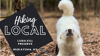 Muddy Mutt Hikes The Lisha Kill Preserve