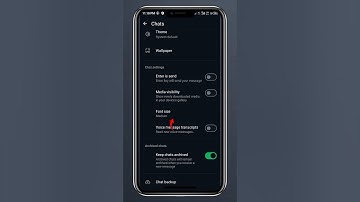 WhatsApp Font Size: How To Customize In iOS And Android Devices.