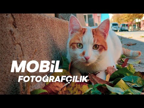 Mobil Fotoğrafçılık Taktikleri / Cep Telefonu ile Fotoğraf Çekimi