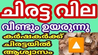 ചിരട്ട വില വീണ്ടും ഉയർന്നു 26/05/26 ചൊവ്വ |, #coconut #shell #pepper #arecanut | Malayalam | Kerala