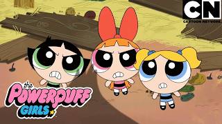 Ataques tão estranhos quanto perigosos | As Meninas Superpoderosas | Cartoon Network 🇧🇷
