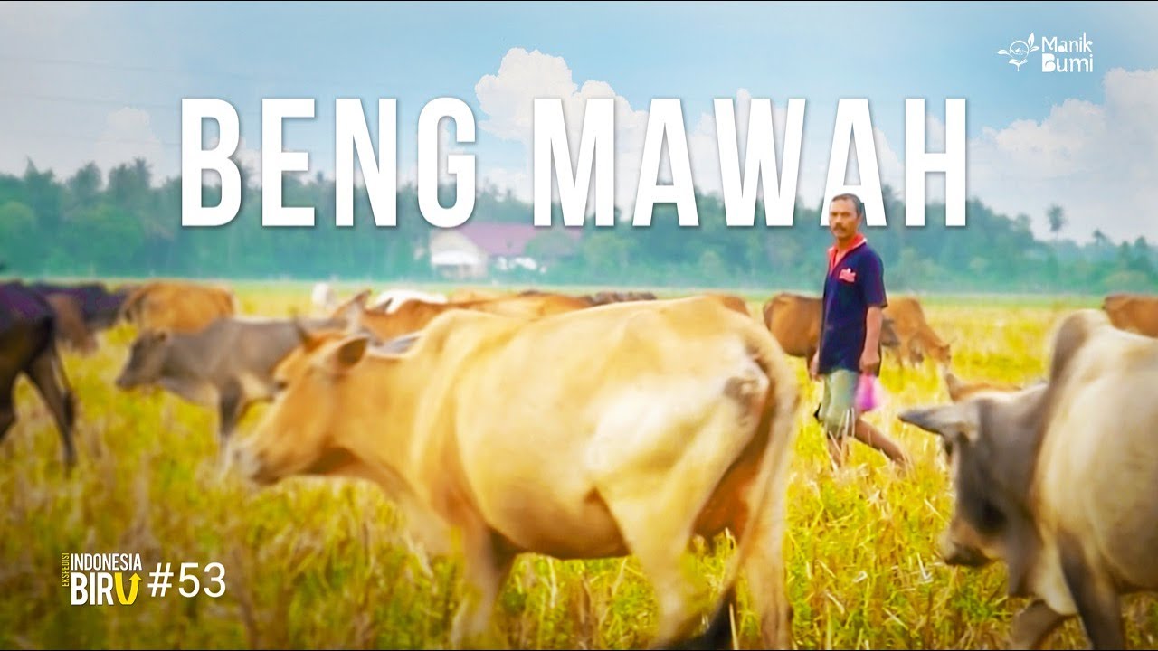 BENG MAWAH - Ekspedisi Indonesia Biru #53