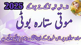 Moti Sitara Bot Desigboti2025 Sequence Beads Designing Ideas Moti Sitara K Design Part 5