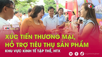 Xúc tiến thương mại, hỗ trợ tiêu thụ sản phẩm khu vực kinh tế tập thể, HTX