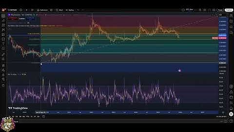 PolySwarm NCT: Bearish Downtrend Update & Next Support Levels #shorts