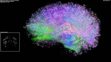 Simulated Thalamocortical Brain Network 6 - 3D View, 3 Million Neurons, 476M Synapses