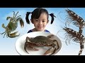 Download Siêu Nhân AnAn Đi Siêu Thị Mua Tôm Cua Và Tập Làm Món Tôm Nướng ❤ Anan Toysreview TV ❤ Siêu Nhân AnAn Đi Siêu Thị Mua Tôm Cua Và Tập Làm Món Tôm Nướng ❤ Anan Toysreview TV ❤