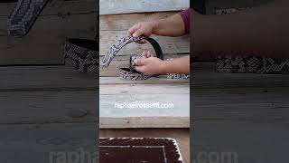Python Print Leather Wallet &amp; Belt Matching Set | Handmade Men’s Accessories
