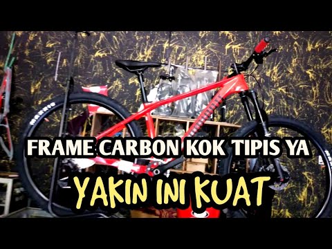 frame dominate carbon