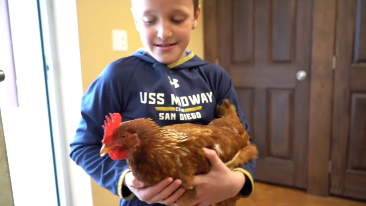 Disabled Outdoorsmen USA Weston Jenkins YouTube