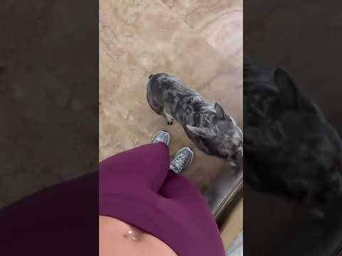 Malu Trevejo (@malutrevejo) archived Instagram Stories compilation from May 12, 2026
